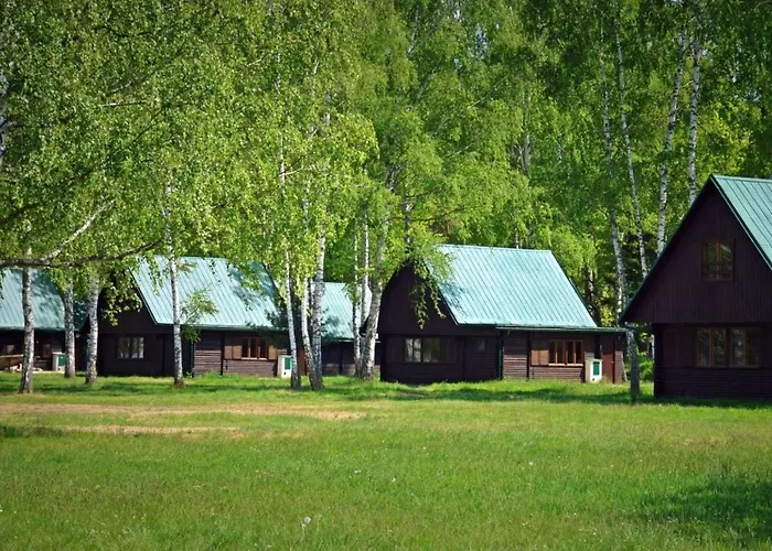 Hébergement de vacances Stribrny Rybnik-10 By Interhome Hradec Králové